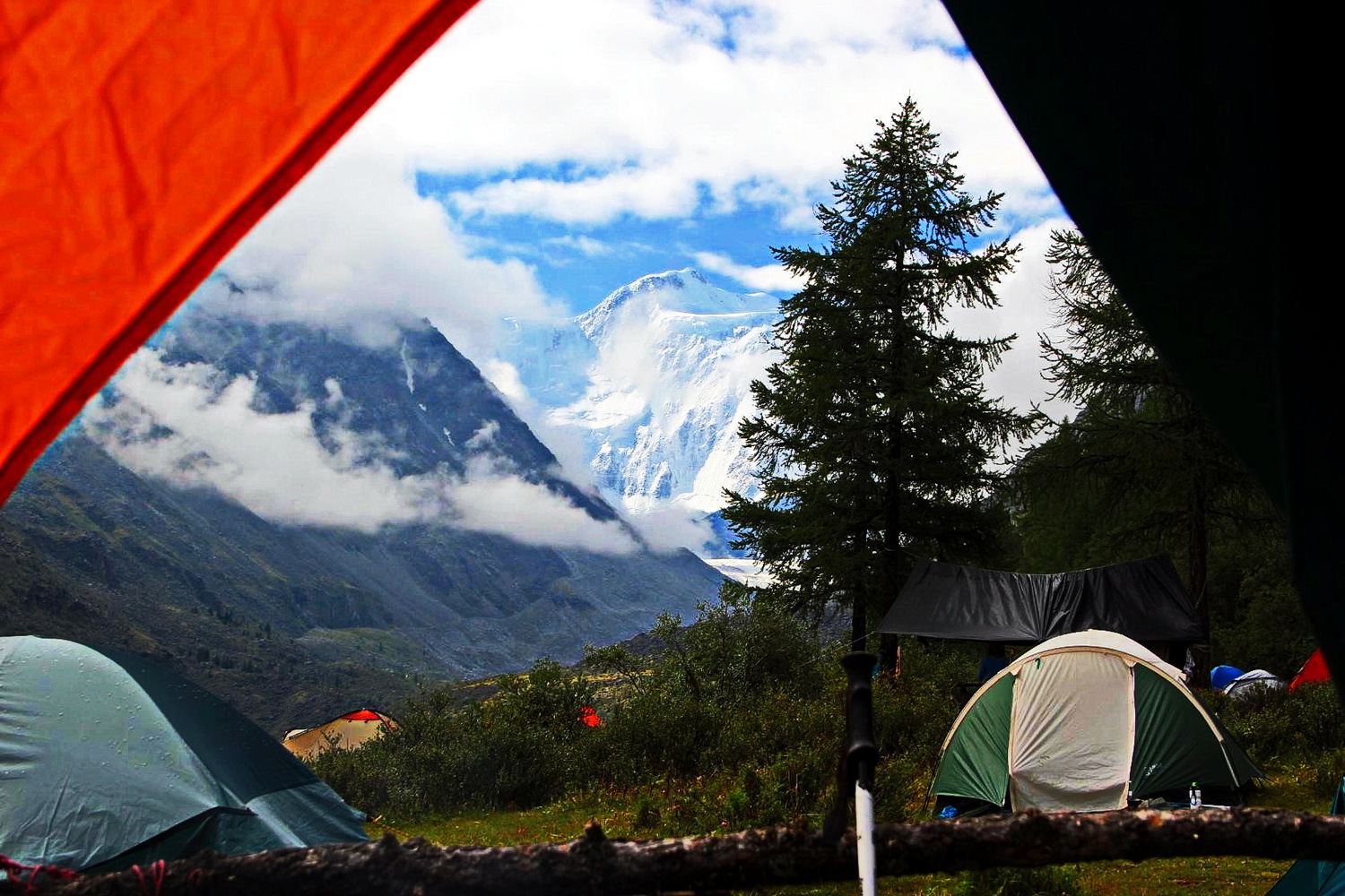 <span style="font-weight: bold;">Тур : Конный тур к подножию горы Белуха</span>